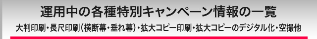 特別キャンペーン一覧